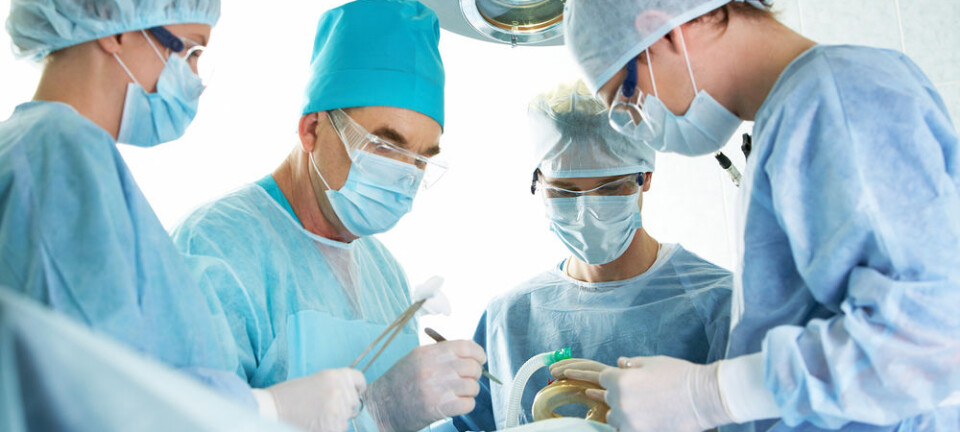 Synthetic mussel adhesive sticks to anything