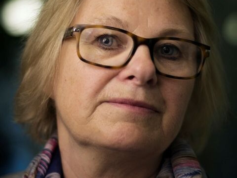 Bente Abrahamsen, Senior Researcher at the Centre for the Study of Professions, HiOA. (Photo: Benjamin A. Ward)