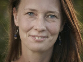 Ulla Toft says there is no doubt about the link between high salt consumption and heart disease. (Photo: Region Hovedstaden) Ulla Toft says there is no doubt about the link between high salt consumption and heart disease. (Photo: Region Hovedstaden)