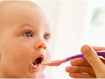 Once allowed to eat solid foods, babies often demand constant spoonfuls. (Photo: www.colourbox.no) Once allowed to eat solid foods, babies often demand constant spoonfuls. (Photo: www.colourbox.no)