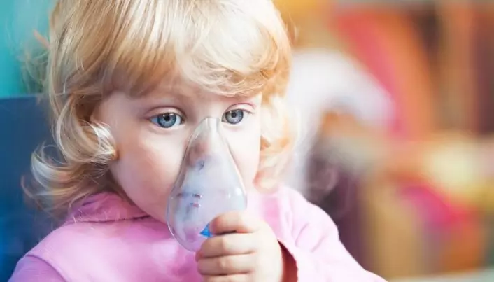 New asthma susceptibility gene identified