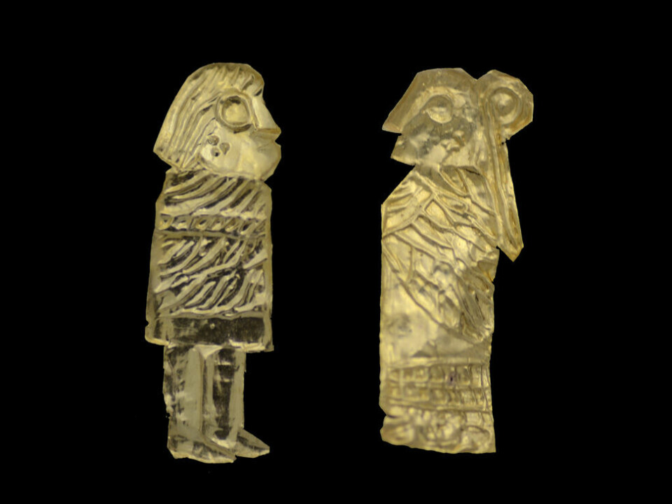 Archaeologists have found 29 of these little gold men in Västra Vån, Blekinge, to date – the third biggest discovery of its type in Sweden. The figurines are typically only 1-2 centimetres tall. (Photo: Max Jahrehorn, Blekinge Museum)