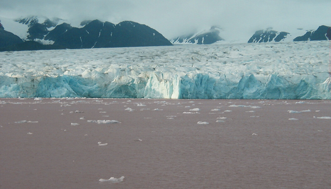 Pink marine sediments from Svalbard can tell us a lot about the climate. Photo: Tine Rasmussen. Pink marine sediments from Svalbard can tell us a lot about the climate. Photo: Tine Rasmussen.