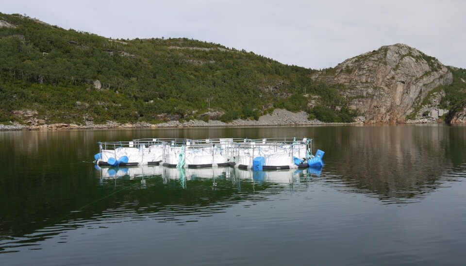 Measuring the biological pump. Researchers use this kind of experimental set-up to better understand how much CO2 phytoplankton can actually take up in given conditions. (Photo: NTNU)