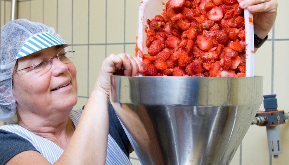 Berit Karoline Martinsen has produced jam from many different varieties of strawberry and raspberry. (Photo: Kjell Merok/Nofima)