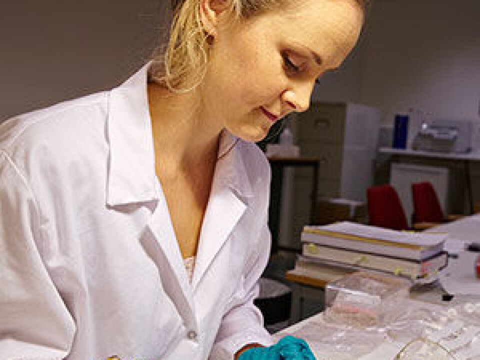Elise Naumann investigates the skeletal remains of people who lived during the Iron Age. (Photo: Anne Stalsberg, NTNU Vitenskapsmuseet)