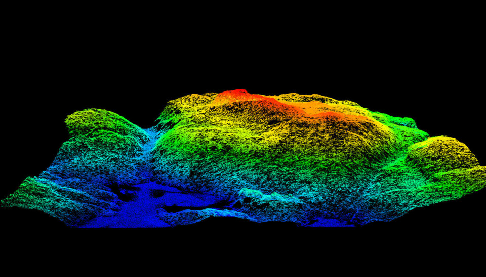 An example of a laser scan. Seen here is a terrain model of a hill called Tonekollen in Oslo’s eastern woodlands, Østmarka. The data behind the graphics enable foresters to assess the value of timber, graphically differentiating types of trees and vegetation. This type of scan has now been shown to reveal where certain species of birds can be found. (Illustration: Hans Ole Ørka, NMBU)