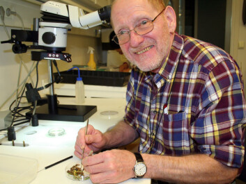 Christer Magnusson of Bioforsk is a leading expert on nematodes who loves his field. His petri dish is filled with a plant sample infested with hookworms. (Photo: Asle Rønning) Christer Magnusson of Bioforsk is a leading expert on nematodes who loves his field. His petri dish is filled with a plant sample infested with hookworms. (Photo: Asle Rønning)