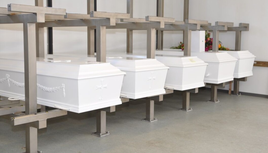 Common seasonal influenza explains much of the difference in mortality rates between winter and summer. (Photo: Colorbox) Common seasonal influenza explains much of the difference in mortality rates between winter and summer. (Photo: Colorbox)