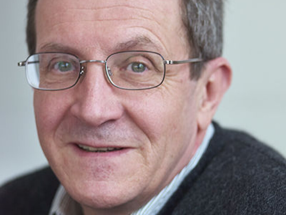 Stephan Guth, Professor of Arabic at the Department of Culture Studies and Oriental Languages, University of Oslo, is directing a research project aimed at establishing an Arabic etymological dictionary, the first of its kind. (Photo: UiB)