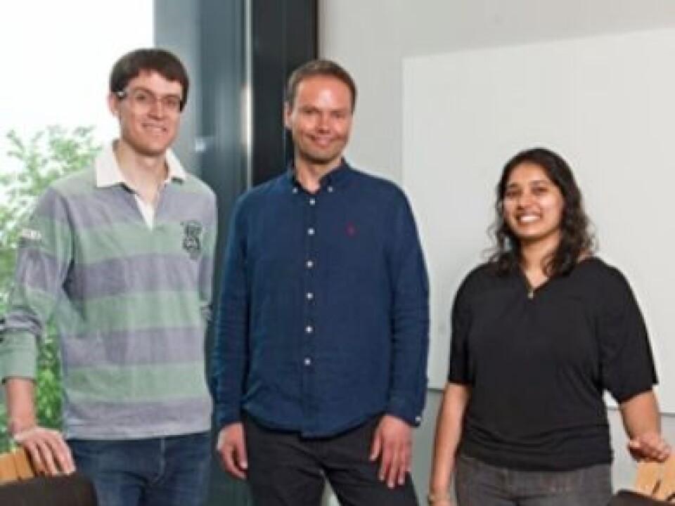 The Norwegian researchers behind the discoveries (from left): Alexander Thrane, Erlend Nagelhus and Vinita Rangroo Thrane at the Institute for Basic Medical Sciences, University of Oslo. (Photo: Gunnar F. Lothe, UiO)