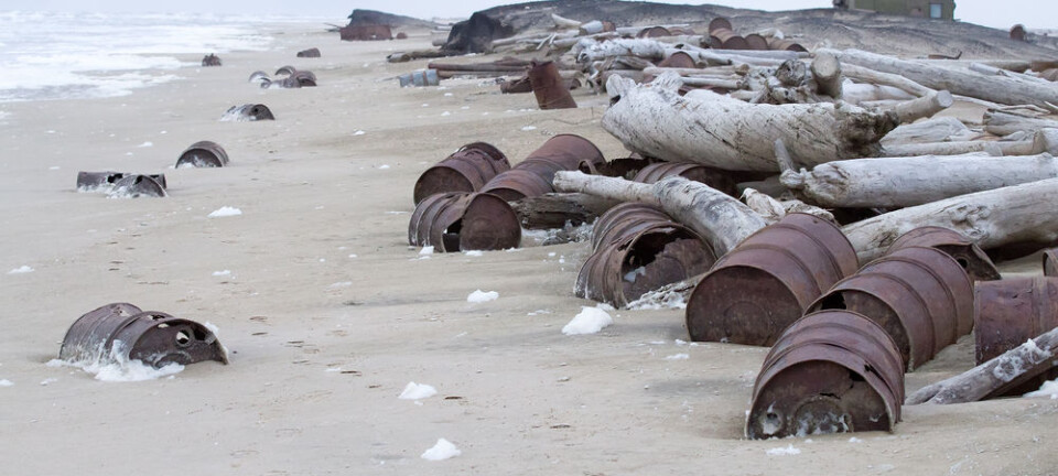 Even tiny oil spills may break Arctic food chain