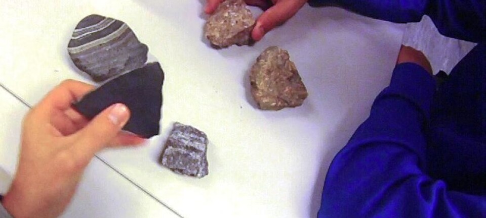 Faulty focus in school field trips