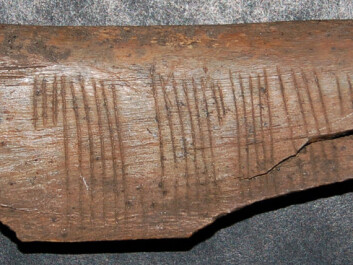 A rather forthright message written in code: “Kiss me” is etched into a piece of bone found in Sigtuna in Sweden, dating to the 12th or 13th century. The code is in cipher runes, the most common code known from medieval Scandinavia. This variety is called ice runes. (Photo: Jonas Nordby) A rather forthright message written in code: “Kiss me” is etched into a piece of bone found in Sigtuna in Sweden, dating to the 12th or 13th century. The code is in cipher runes, the most common code known from medieval Scandinavia. This variety is called ice runes. (Photo: Jonas Nordby)