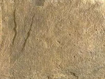 “These runes were carved by the most rune-literate man west of the sea,” bragged the author of this text. The inscription is in cipher runes and in regular runes. It was found in a burial chamber from the early Stone Age that Scandinavians broke into in the 1100s on the Orkney Islands. “A typical bunch of male adolescents were fooling around and wrote tall tales about treasures and their own sexual prowess,” says Runologist Jonas Nordby. (Photo: Bengt A. Lundberg/Riksantikvarieämbetet)