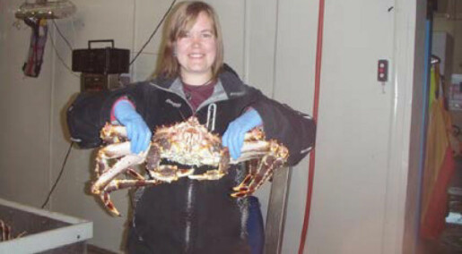 Respiratory problems plague king crab workers