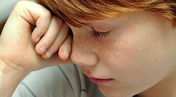 Acute family stress can impact a child’s immune system