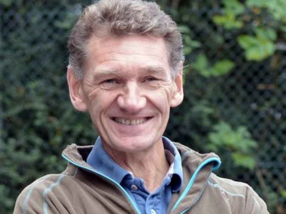 Grete Waitz ran 119-132 kilometres per week during the 1978-79 season. “Given the results she achieved, that’s far fewer kilometres than most people would have imagined,” says professor Leif Inge Tjelta, who has studied her training diaries. (Photo: Asbjørn Jensen, University of Stavanger)