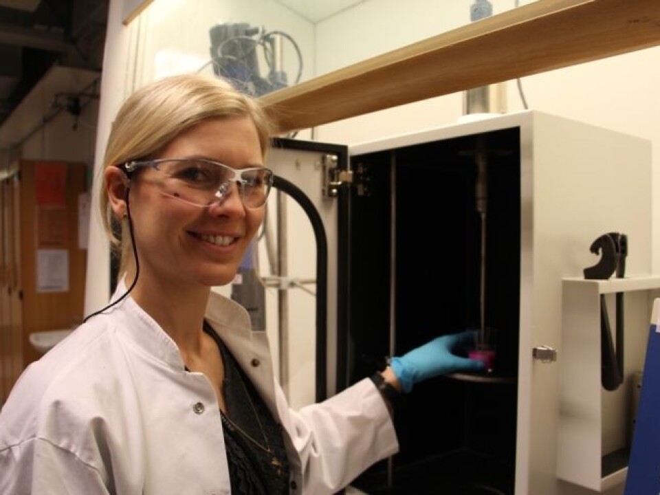 Researcher Ýrr Mørch. (Photo: Christina Benjaminsen)