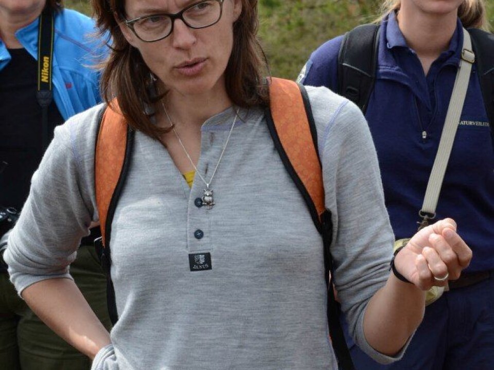 Vigdis Vandvik. (Photo: Morten Günther)