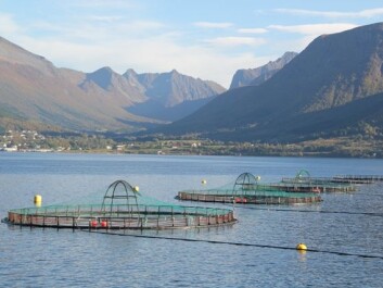 Salmon pens are not fail-safe. (Photo: www.colourbox.no) Salmon pens are not fail-safe. (Photo: www.colourbox.no)