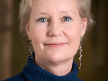 Marit Ekne Ruud (Photo: NIBR) Marit Ekne Ruud (Photo: NIBR)