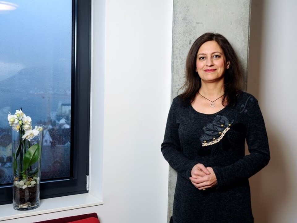“One of the findings is that people with higher education are more mobile than people with a lower education level,” says Afsaneh Bjorvatn. (Photo: Helge Skodvin)