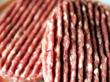 Processed meat has also been linked to colorectal cancer in studies. (Photo: Colourbox) Processed meat has also been linked to colorectal cancer in studies. (Photo: Colourbox)