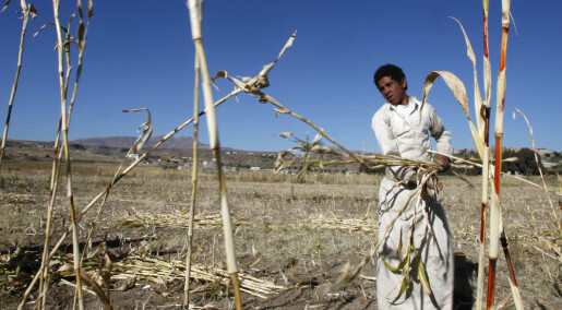 Food security hinges on climate adaptation