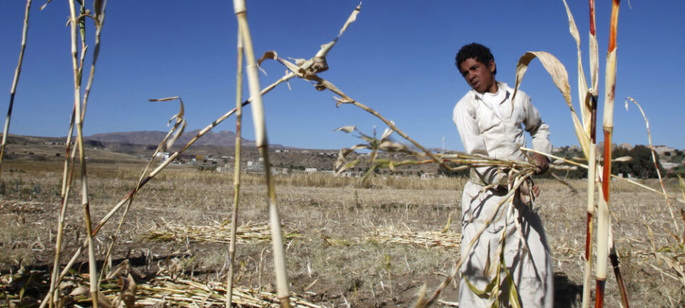 Food security hinges on climate adaptation
