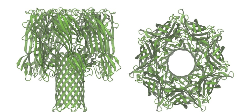 Scientist pulls protein through microscopic hole