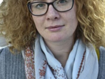 Hoarau-Heemstra thinks many firms in North Norway’s adventure tourism trade could benefit from research on tourism. (Photo: University of Nordland) Hoarau-Heemstra thinks many firms in North Norway’s adventure tourism trade could benefit from research on tourism. (Photo: University of Nordland)