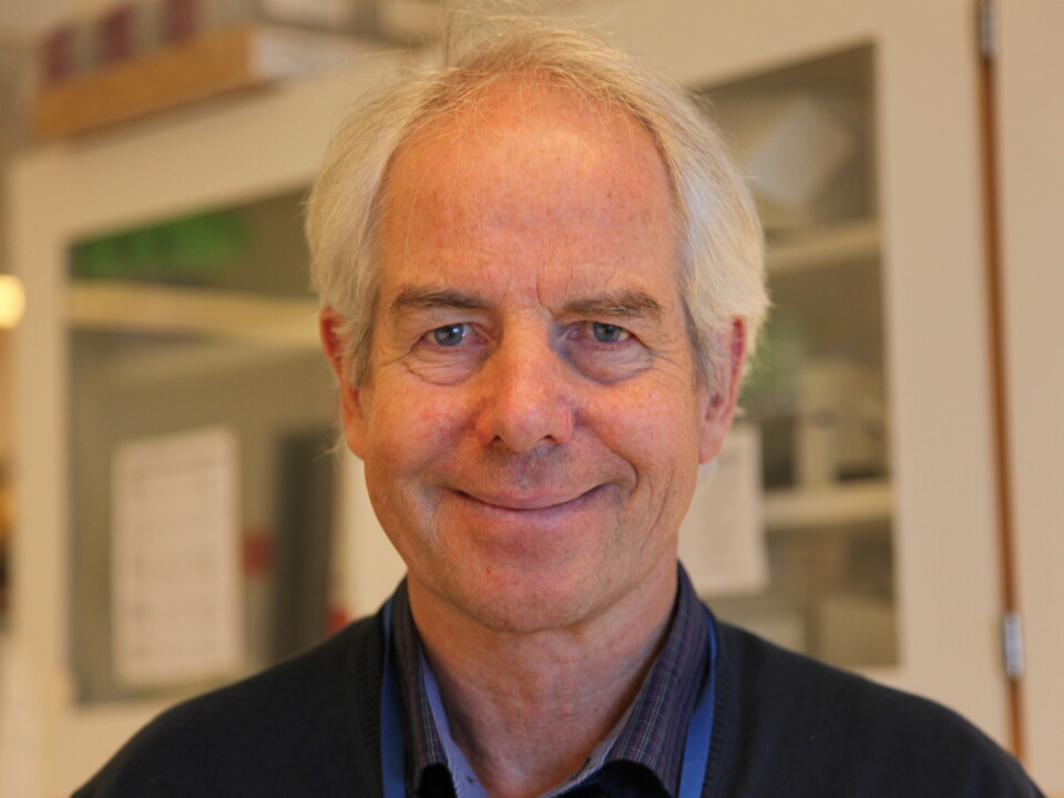 Professor Bjarne Bogen (Photo: Marianne Baksjøberg, UiO)