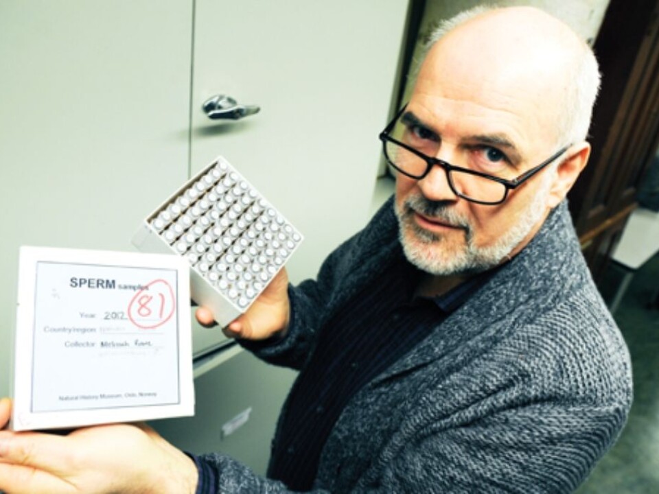 'We can see a pattern where the need for a versatile immune defence system drives up the frequency of infidelities,” Jan T. Lifjeld explains. (Photo: Ola Sæther, UiO)