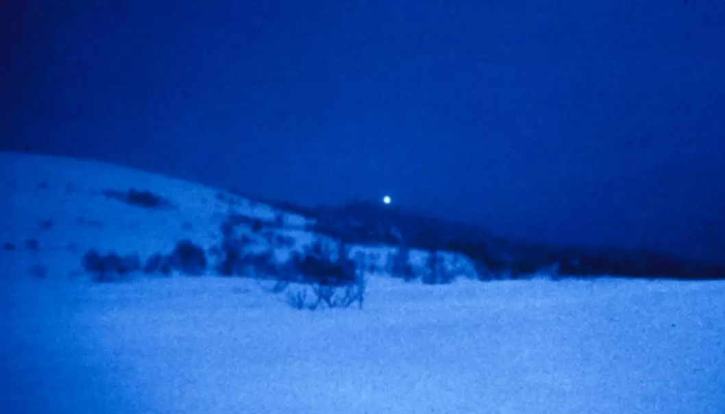 Hessdalen lights, photographed in the early 1980s. Such lights can float above the horizon but most pictures and videos are rather unclear. (Photo: Mary Evans Picture/Scanpix)