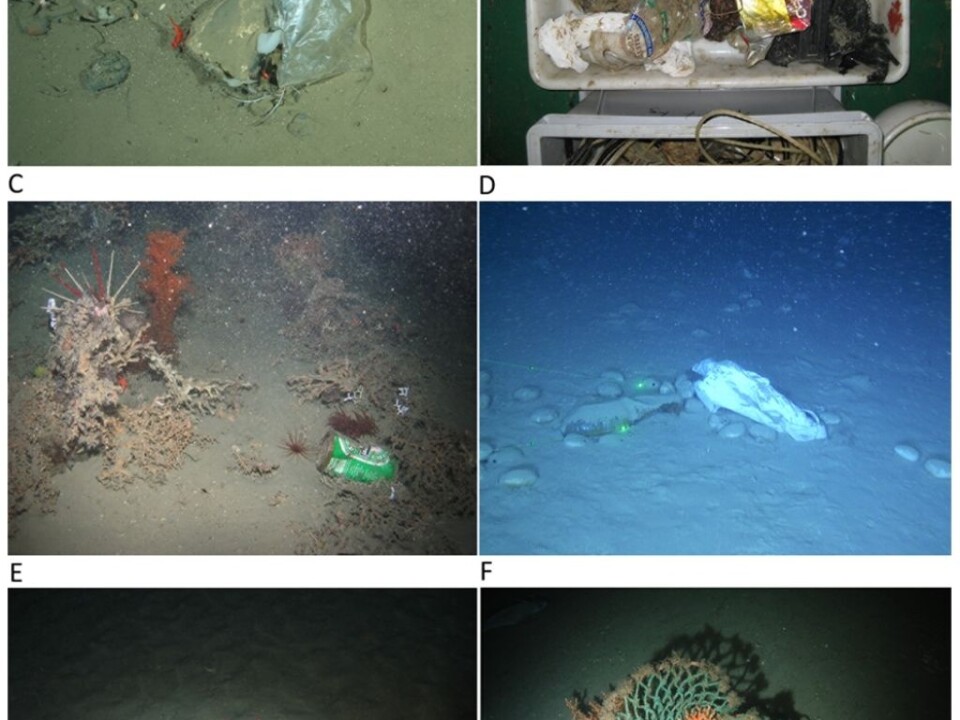 A = Plastic bag entrapped by a small drop stone harbouring sponges (Cladorhiza gelida, Caulophacus arcticus), shrimps (Bythocaris sp.) and a crinoid (Bathycrinus carpenterii) recorded by an OFOS at the HAUSGARTEN observatory (Arctic) at 2500 m; B = Litter recovered within the net of a trawl in Blanes open slope at 1500 m during the PROMETO V cruise on board the R/V “García del Cid”; C = “Heineken” beer can in the upper Whittard canyon at 950 m water depth with the ROV Genesis; D = Plastic bag in Blanes Canyon at 896 m with the ROV “Liropus”; E = “Uncle Benn's Express Rice” packet at 967 m in Darwin Mound with the ROV “Lynx” (National Oceanography Centre, UK); F = Cargo net entangled in a cold-water coral colony at 950 m in Darwin Mound with the ROV “Lynx” (National Oceanography Centre, UK). (Photo: Hermione Project/Plymouth University)