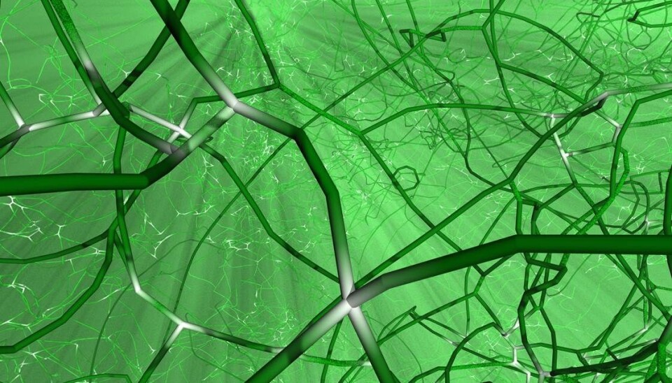 A glimpse of a dented material re-created at atomic level with the aid of mathematical modelling. The “strings” are formed when we crash, and these can decide the outcome of a collision. Each string is a cross-section of a layer of atoms in which the atoms have been displaced from their ideal positions. (Illustration: Bulatov/Lawrence Livermore National Laboratory)