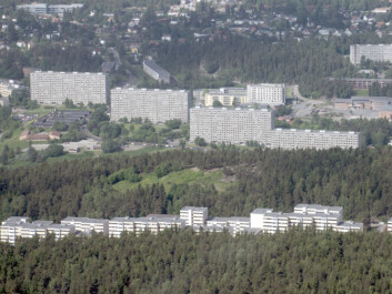 Ammerud, on the eastern outskirts of Oslo, 2010 (Photo: Wilhelm Joys Andersen, made available by WIkimedia Commons)
