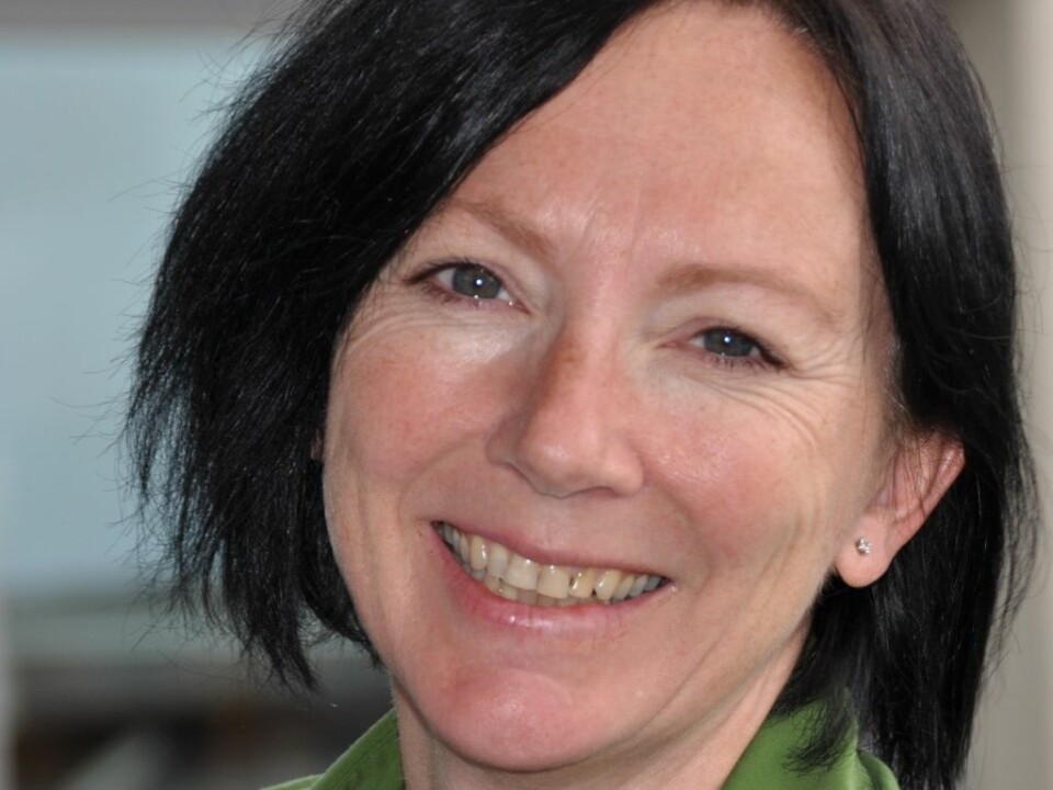 A school needs a principal who takes charge in order for anti-bullying measures to work, asserts Professor in Educational Psychology Sigrun Ertesvåg. (Photo:Centre for Learning Environment.)