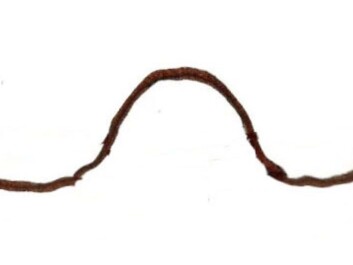 A side view of a Higgs Field graph looks something like a sombrero. (Illustration: Ingrid Spilde) A side view of a Higgs Field graph looks something like a sombrero. (Illustration: Ingrid Spilde)