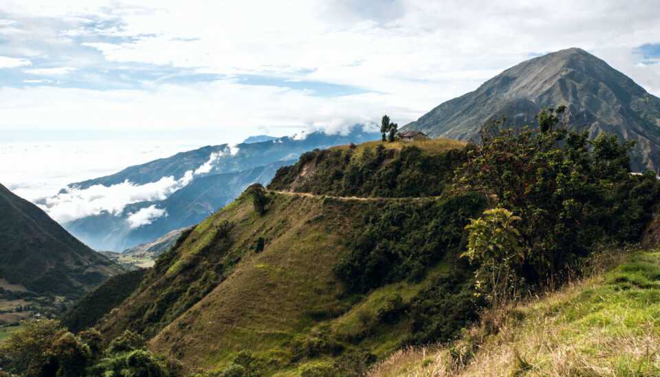 'The economic resources available for tackling climate change and loss of biological diversity are limited, which means that there is a pressing need to tackle both problems simultaneously.' (Photo: Colourbox)