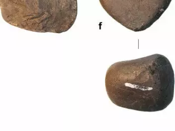 Neolithic human-made stone hammering tools found in Gona, Etiopia. (Photo: Elsevier)
