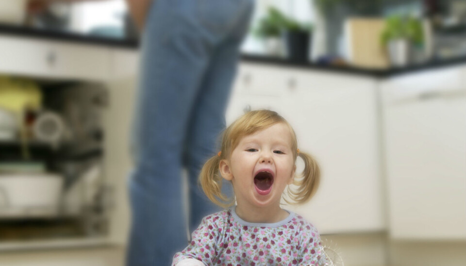 ”Everybody follows certain rules for how they are to behave in the kitchen,” the researcher says. (Poto: Berit Roald/ NTB scanpix)