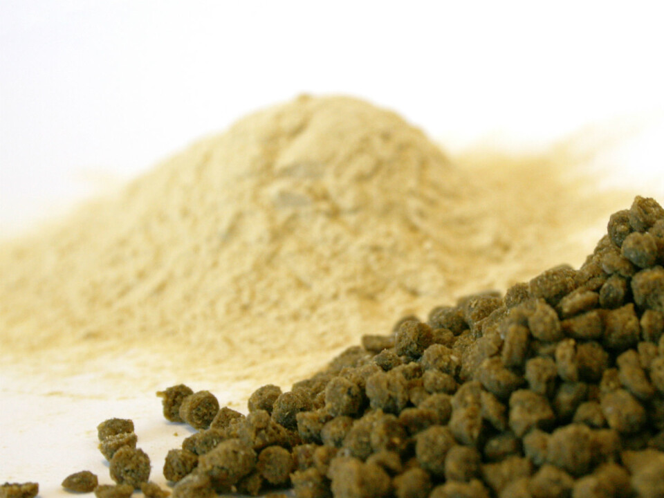 Yeast made from cellulose is a 2nd generation bio resource. This means that farmland is not used for its production. The yeast is used as a protein source in fish feed ( Photo: Janne Karin Brodin )