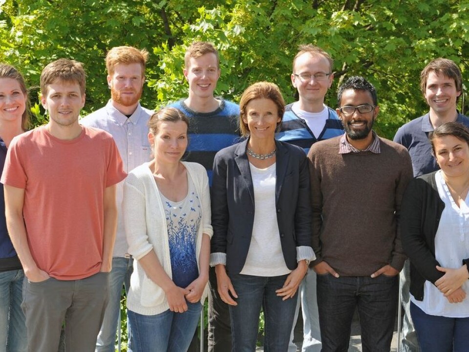 Anne Simonsen and her group conduct research on the tiny yet crucial details that may contribute to reversing cancer and dementia. Pictured from left to right are: Gunnveig Toft Bjørndal, Petter Holland, Aleksander Aas, Kristiane Søreng, Christian Bindesbøll, Anne Simonsen, Serhiy Pankiv, Benan John Mathai, Pauline Isakson, Alf Håkon Lystad. (Photo: Gunnar F. Lothe, UiO)