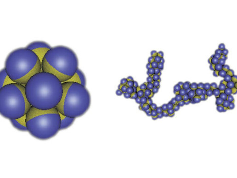 Figure 2: If the different parts of a patchy capsule attract each other, then they have the ability to self-organize in different kinds of structures. (Illustration: Physics Today, Angelo Cacciuto/Erik Luijten)