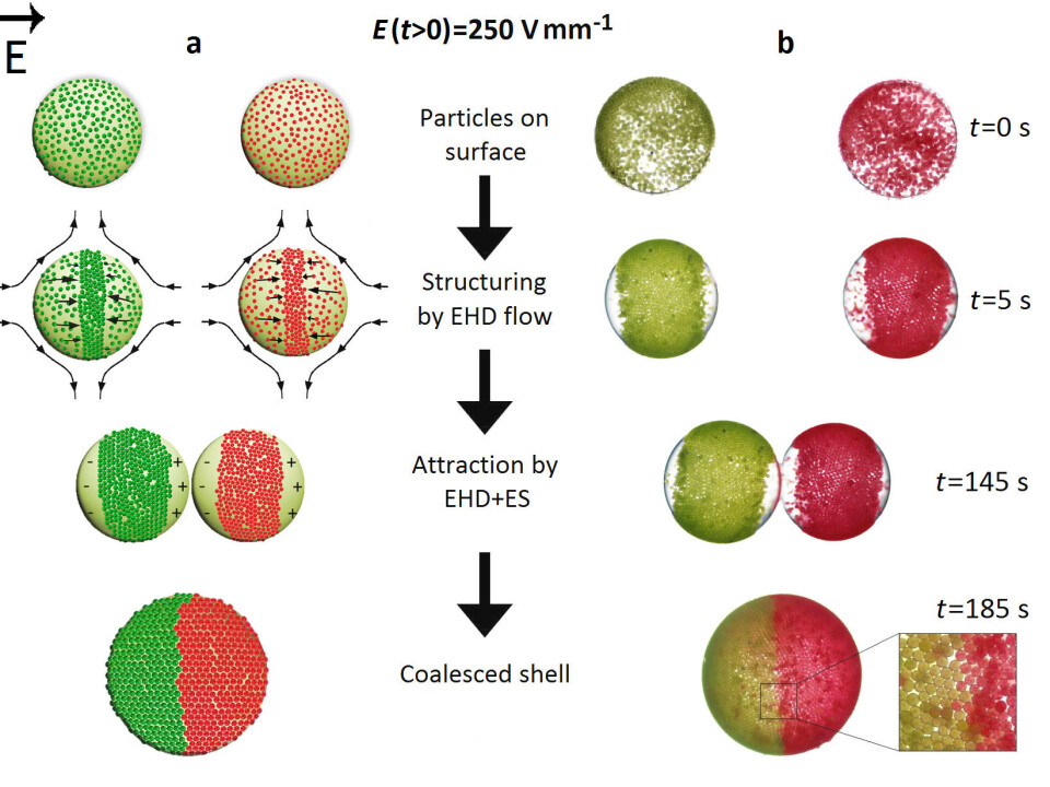 Figure 3: Here’s how patchy colloidosomes are made. (Illustration: Nature Communications)