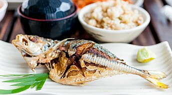 Why Japanese connoisseurs love Norwegian mackerel