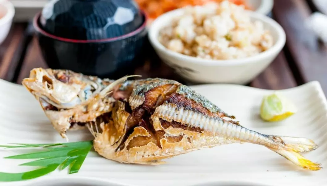 Saba shio (“salt-grilled mackerel”) is the most popular way to eat Norwegian mackerel in Japan. It is a simple and tasty dish that you can often get at restaurants. (Photo: Colourbox)