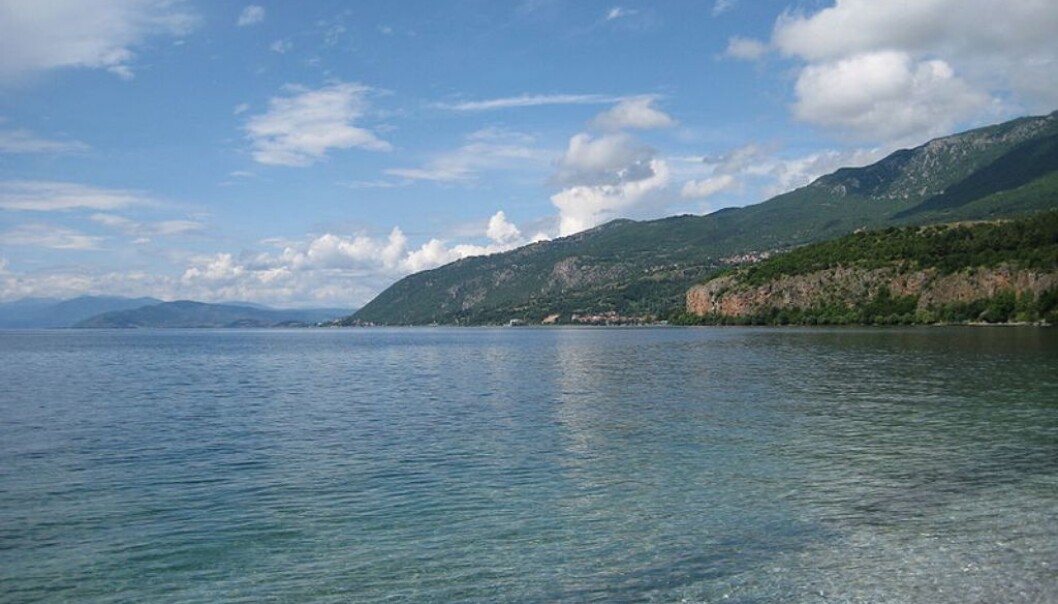 Two-thirds of Lake Ohrid is in Macedonia, the rest in Albania. Previously, biologists from the two respective countries worked in separate parts of the lake. (Photo: Wikipedia)
Two-thirds of Lake Ohrid is in Macedonia, the rest in Albania. Previously, biologists from the two respective countries worked in separate parts of the lake. (Photo: Wikipedia)